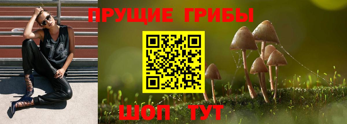 Всеволожск  Псилоцибиновые грибы мицелий  закладка  Вход с VPN 